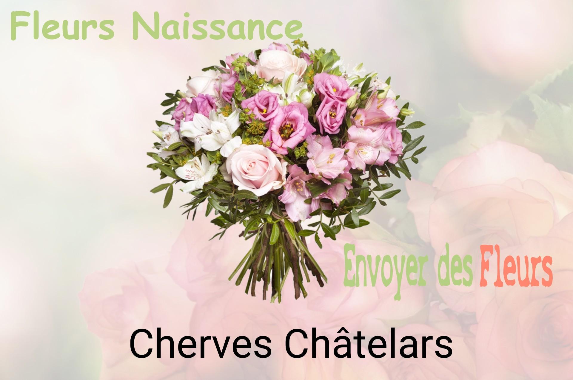 Bouquet de fleurs de naissance livré à Cherves-Châtelars
